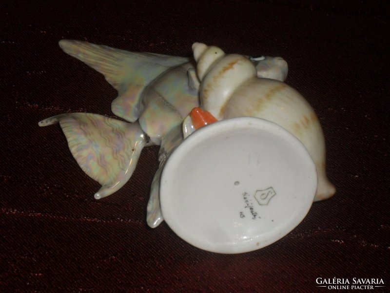 Drasche hal kagylón  ( DBZ0048 )