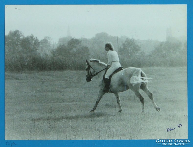 0C217 Eredeti lovas fotográfia Polner szignóval