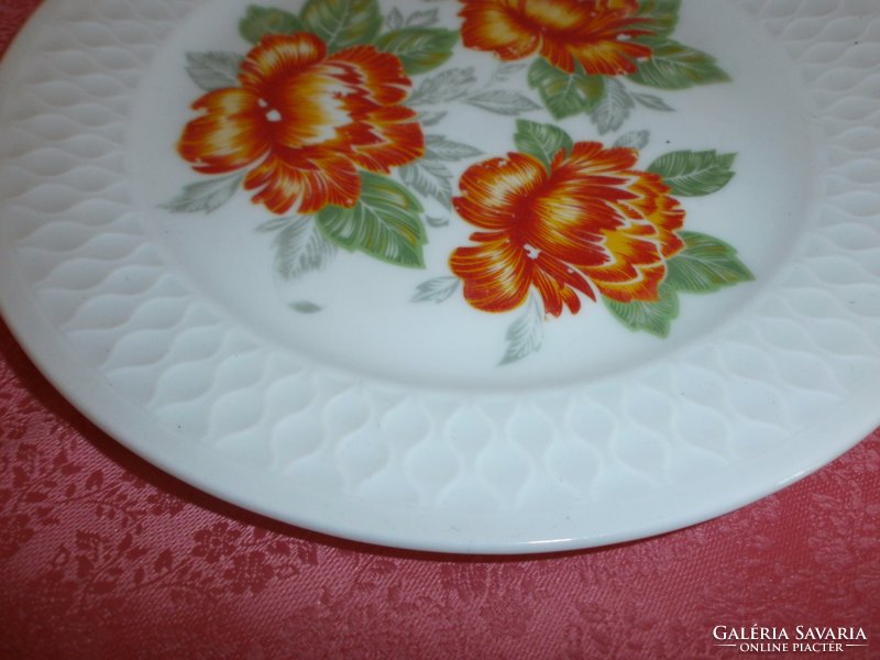 Gyönyörű virágmintás porcelán tányér