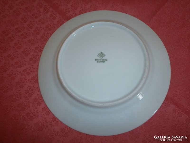 Beautiful floral porcelain plate