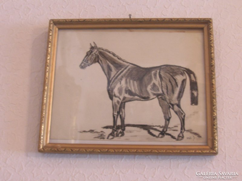 A drawing by János Viski of a well-positioned stallion