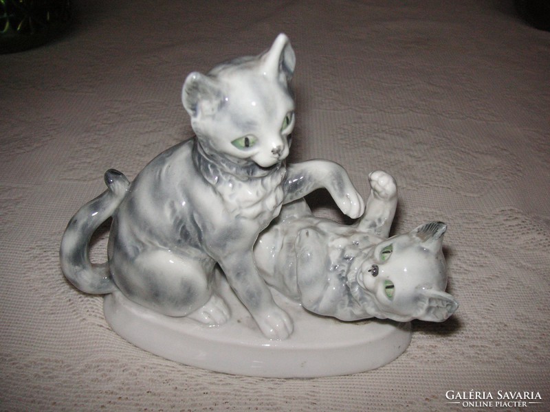 Playing kittens indicated