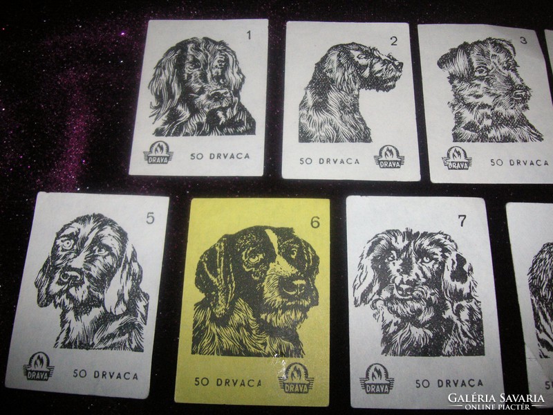 Yugoslav dog match tags