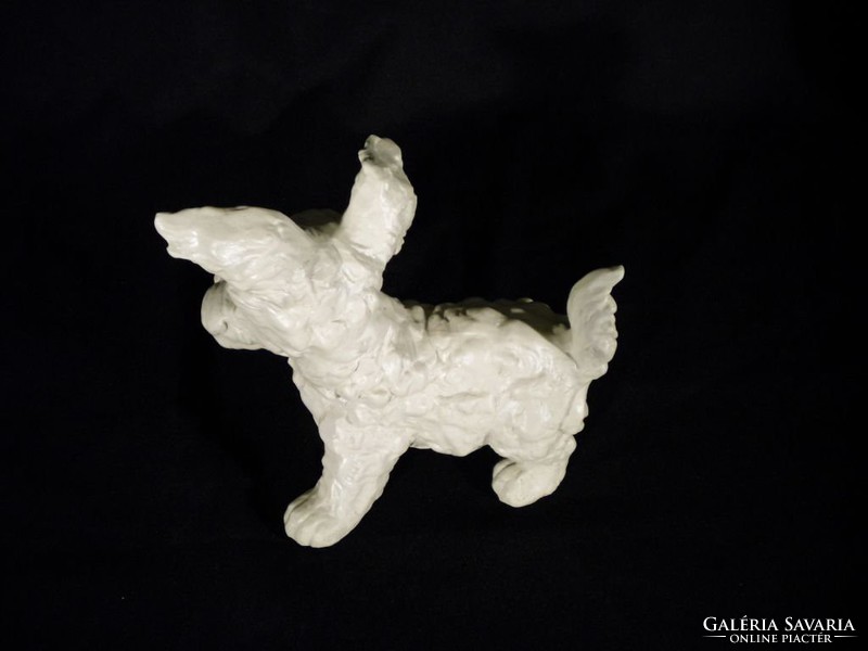 M077 Régi Schaubach Kunst biszkvit fox terrier