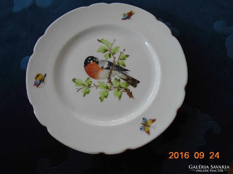 19.sz Kézzel festett papagájos, pillangós tányér