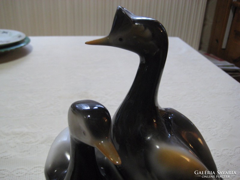 Holóháza wild ducks, marked, flawless, beautiful condition