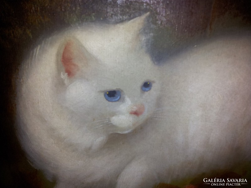 Benő Boleradszky: hunting Persian cat, painting