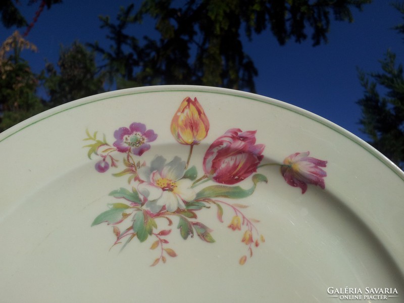 Antique tulip plates