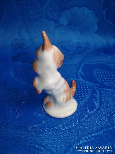 Aquincumi porcelán kutyus figura