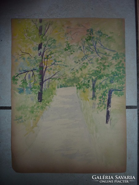 Sétány zöldellő fákkal, régi akvarell. Leányfalu 1986