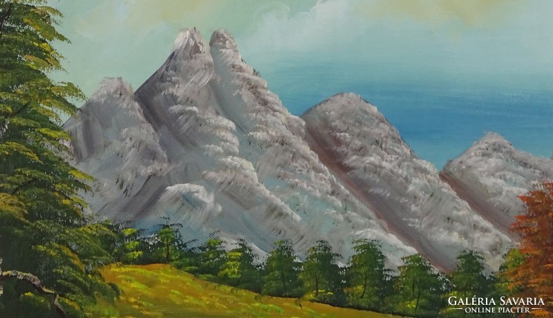 0M576 Ismeretlen festő : Alpesi táj