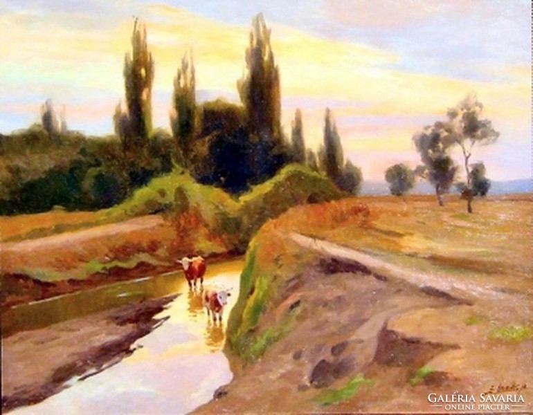 Edvi-illés aladár (1870 - 1958): steep shore