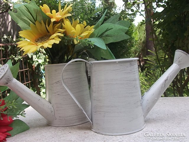 With watering can gerbera v.Without