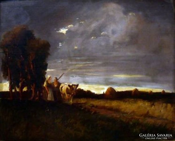 Fejér Sándor (1876-1915): Hazafelé a vihar előtt