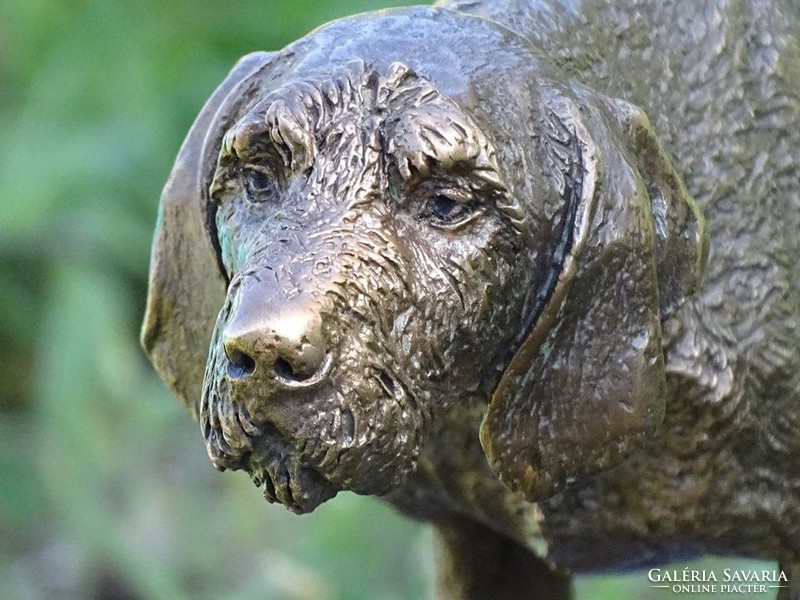 ​Vadálló Drótszőrű Magyar Vizsla bronz szobor