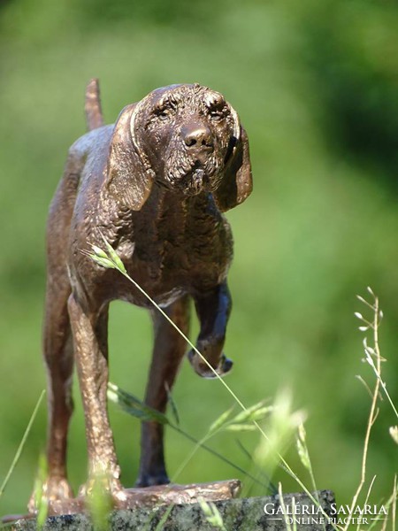 ​Wild wire-haired Hungarian Vizsla bronze statue