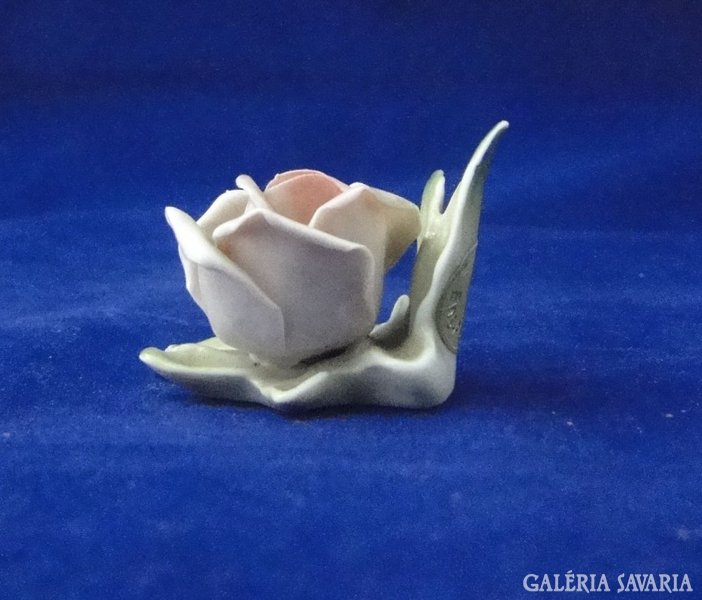 8484 Régi porcelán ENS rózsa