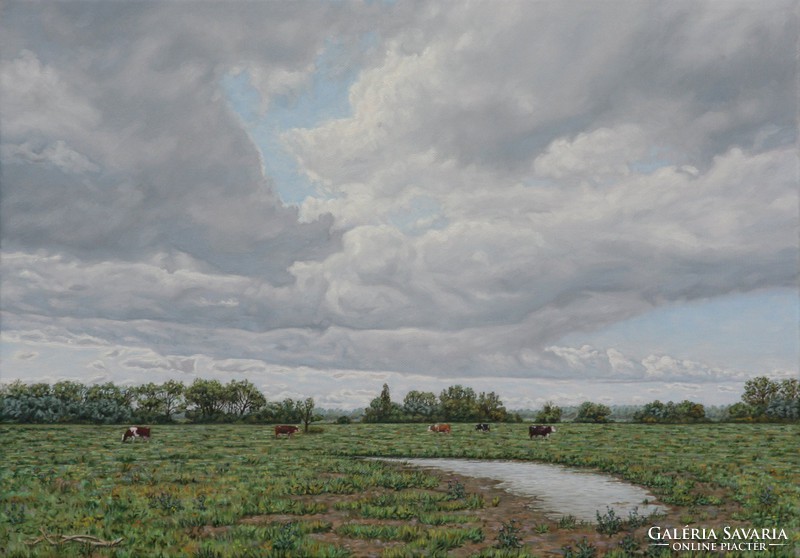 Clouds over the pasture