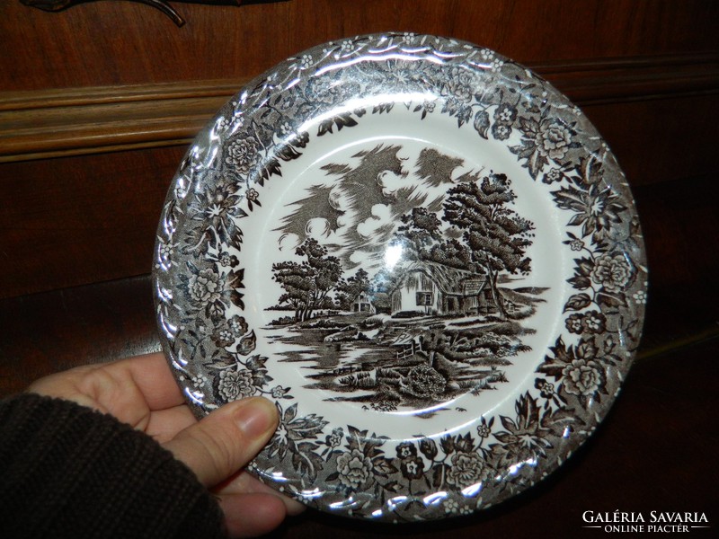 English brown country style Staffordshire plate
