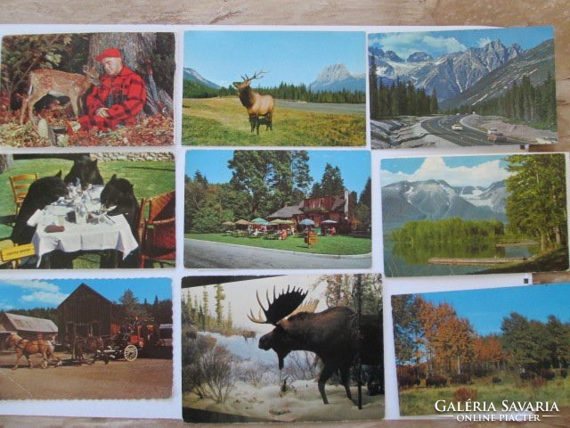 Vadász erdész képeslapok Canadából