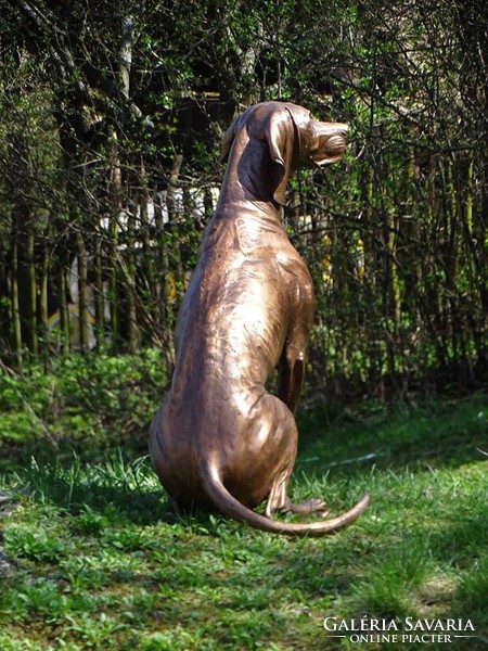 Vizsla életnagyságú bronz szobor