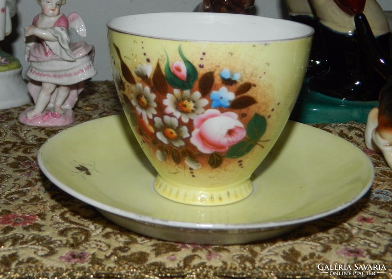 Ca. 100-year-old hand-painted fluffy cup + saucer plate