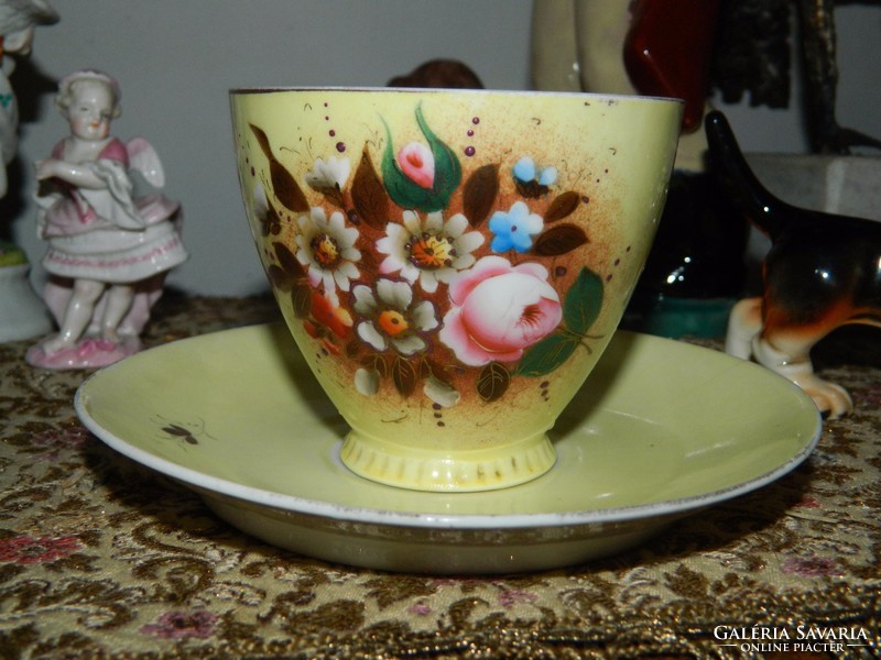 Ca. 100-year-old hand-painted fluffy cup + saucer plate