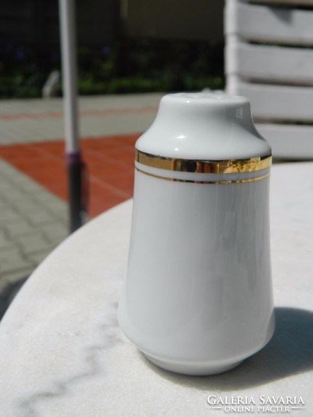 Spicy salt shaker on a classic porcelain table with a gold border