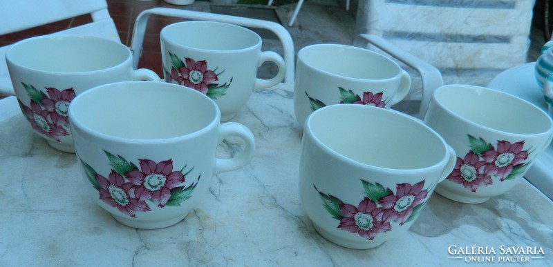 Antique large floral Ditmar-Urbach cup set for 6 people