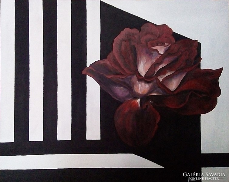 Bordó rózsa és egy kis fekete-fehér c. festmény 