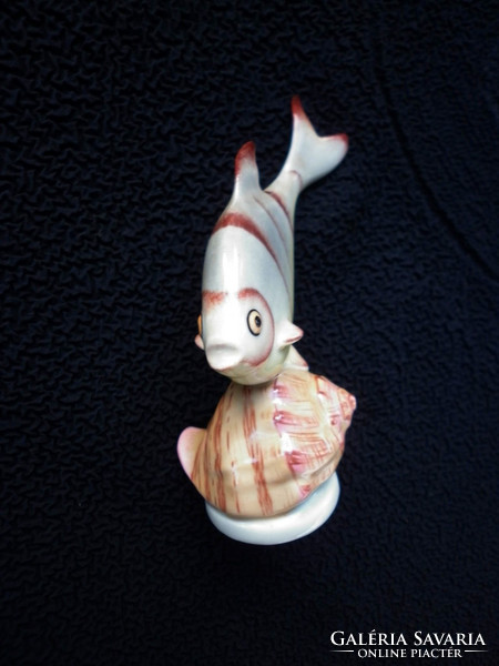 Kőbanyai is a beautifully painted snail fish