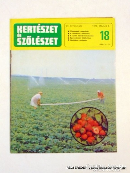 1978 május 4  /  KERTÉSZET és SZŐLÉSZET  /  SZÜLETÉSNAPRA RÉGI EREDETI ÚJSÁG Szs.:  6112