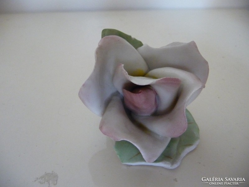 Aquincum porcelán rózsa