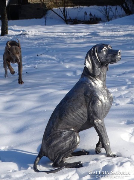 Weimaraner aluminum statue with a life size of 85 cm