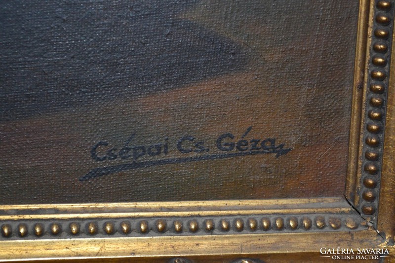 Painting 60 x 50 cm in a gilded frame, Csepai cs gauze
