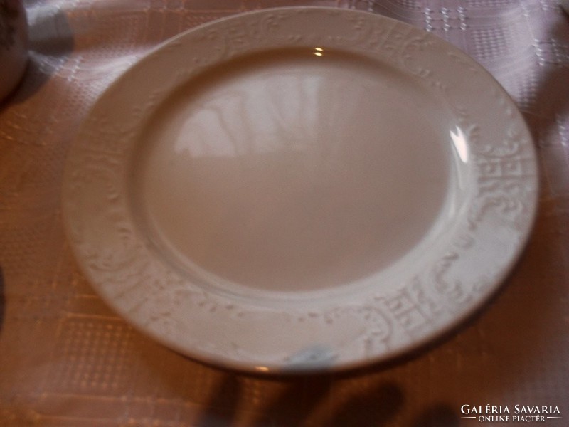 Printed patterned serving plate on white