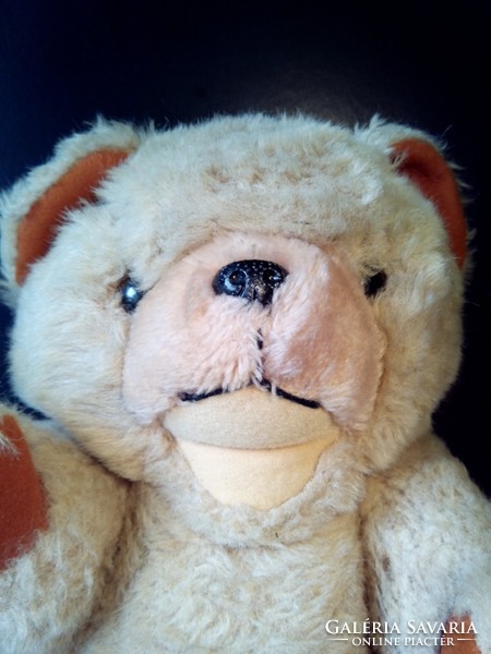 Cute cute muzzle teddy bear with open mouth