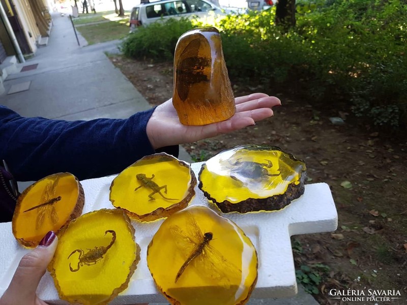 Sumatra amber with animals (coal resin)