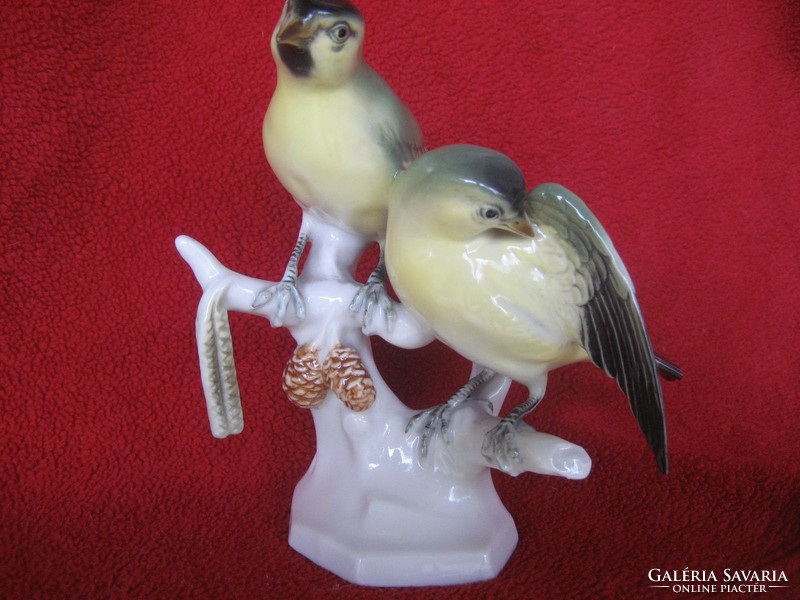 Volkstedter porcelain birds