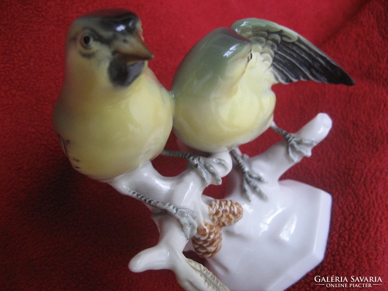 Volkstedter porcelain birds
