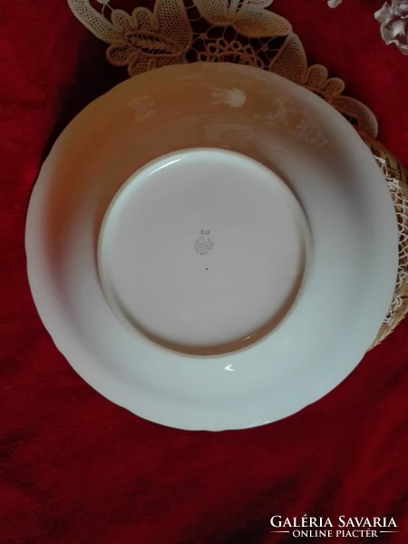 Czech serving bowl snow white side dish or even soup bowl snow white completely new