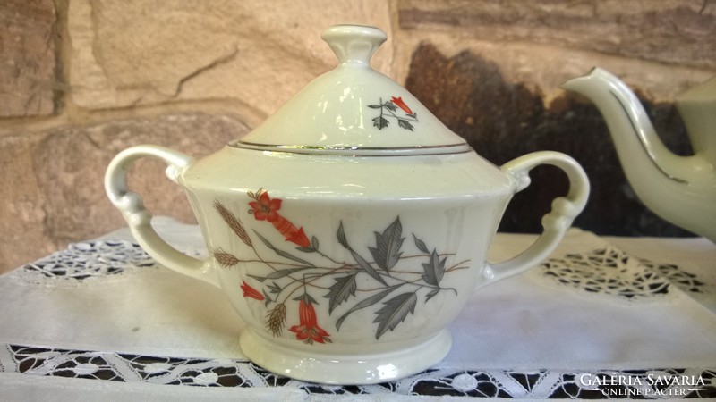 Mcp beautiful teacup, teapot, sugar bowl or tea set all in one!