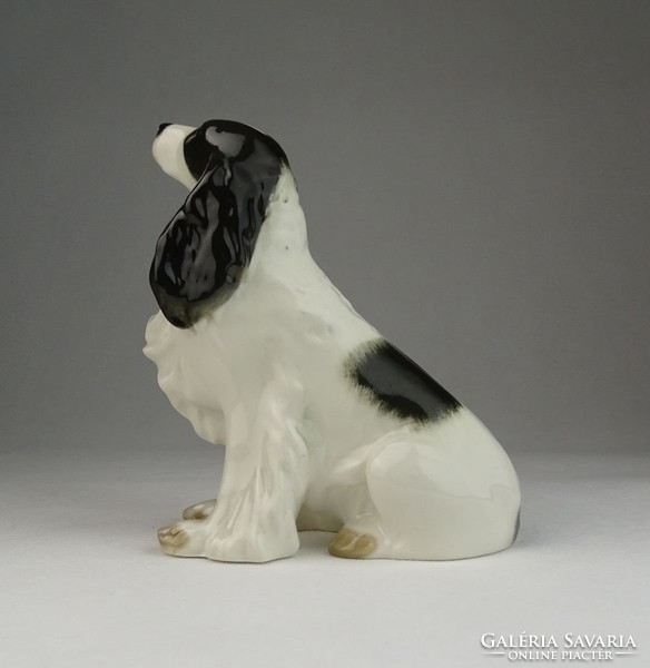 0U727 Régi jelzett porcelán spániel kutya 14 cm
