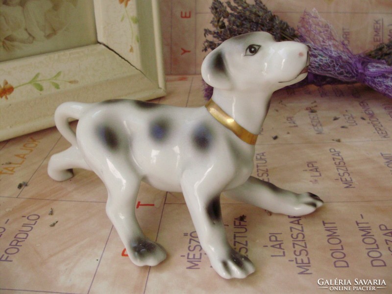 Porcelán kutyus,dalmata kutya