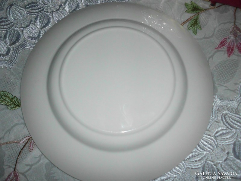 A very nice porcelain decorative plate. Large, 27 cm.