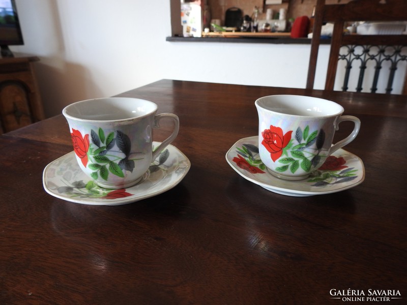 Sarir - pair of cups with German style rose pattern