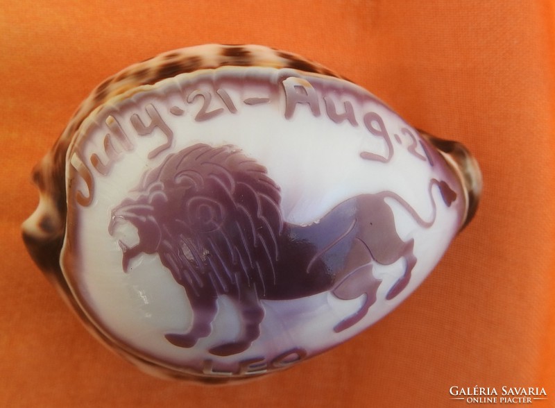 Australian ornamental shell - leo - lion zodiac sign
