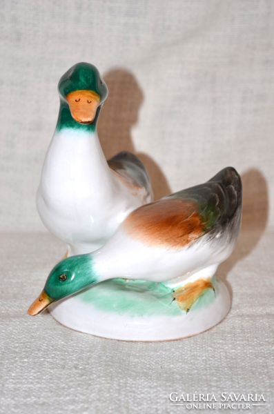Bodrogkeresztúr duck pair ( dbz 00115 )
