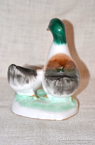 Bodrogkeresztúr duck pair ( dbz 00115 )
