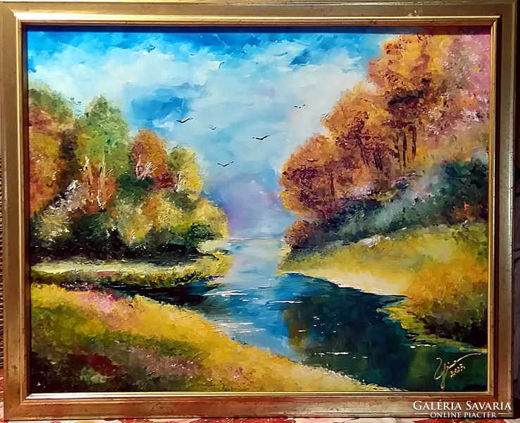 Szikrázó természet - festőkéses impresszió ( 40 x 50, olaj )